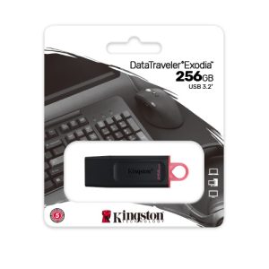 Pen Drive,256GB,KINGSTON,DTX        2509